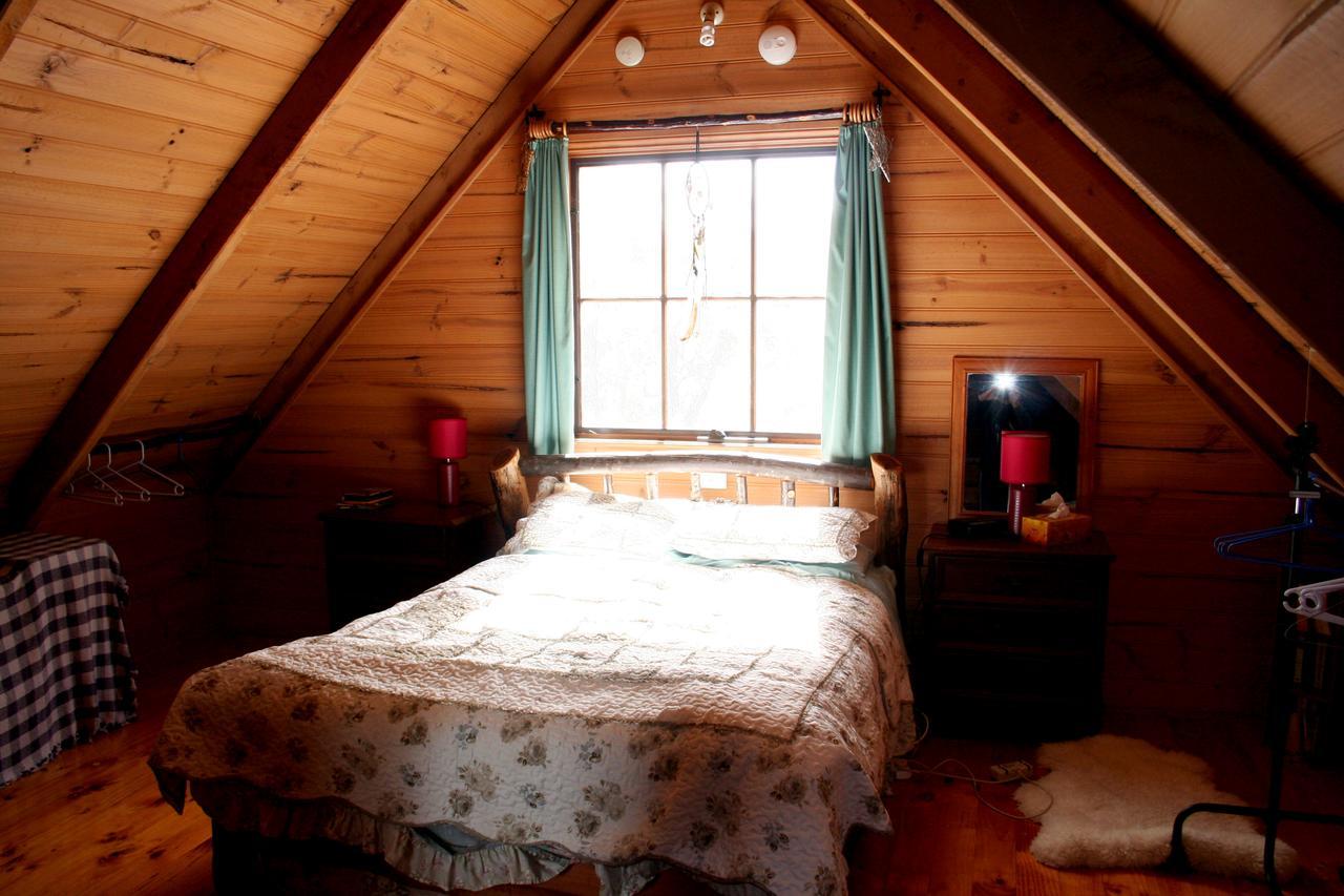 Villa Wombat Cabin à Moina Extérieur photo