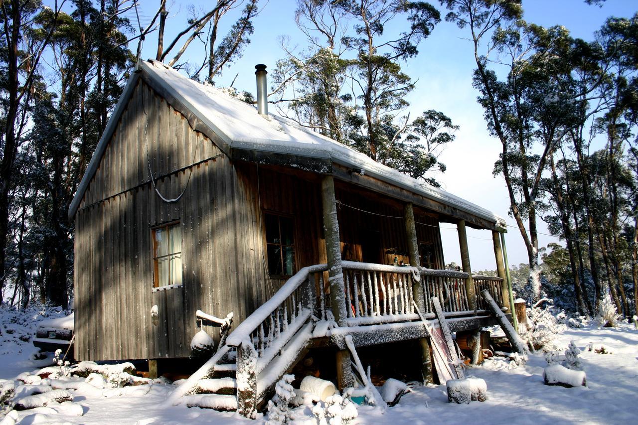 Villa Wombat Cabin à Moina Extérieur photo